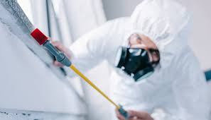 Pest Control for Warehouses in Mattoon, IL